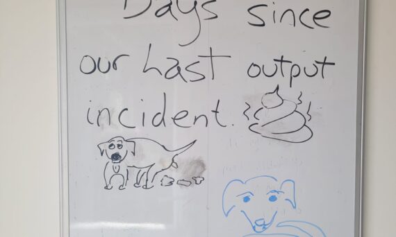 Millie's Output Incident Calendar