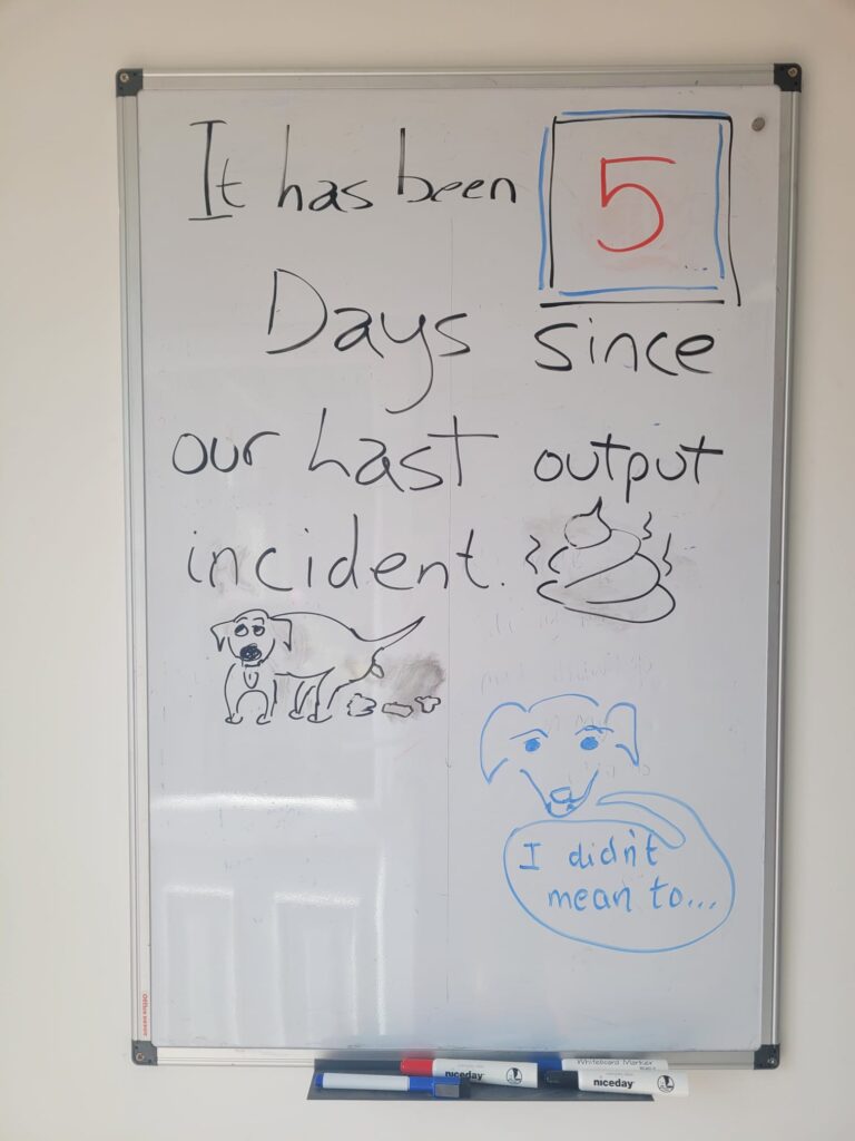 Millie's Output Incident Calendar